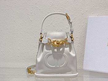 Dior Women Saddle Medium C’est Dior Bag01  17x 7x 18cm