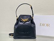 Dior Women Saddle Medium C’est Dior Bag01  24 x 10 x 24.5 cm - 1