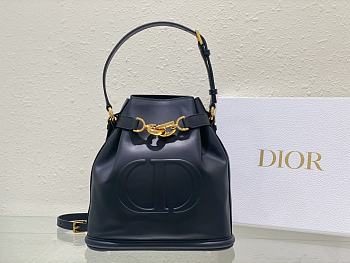Dior Women Saddle Medium C’est Dior Bag01  24 x 10 x 24.5 cm