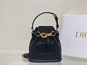 Dior Women Saddle Medium C’est Dior Bag02  17x 7x 18cm - 1