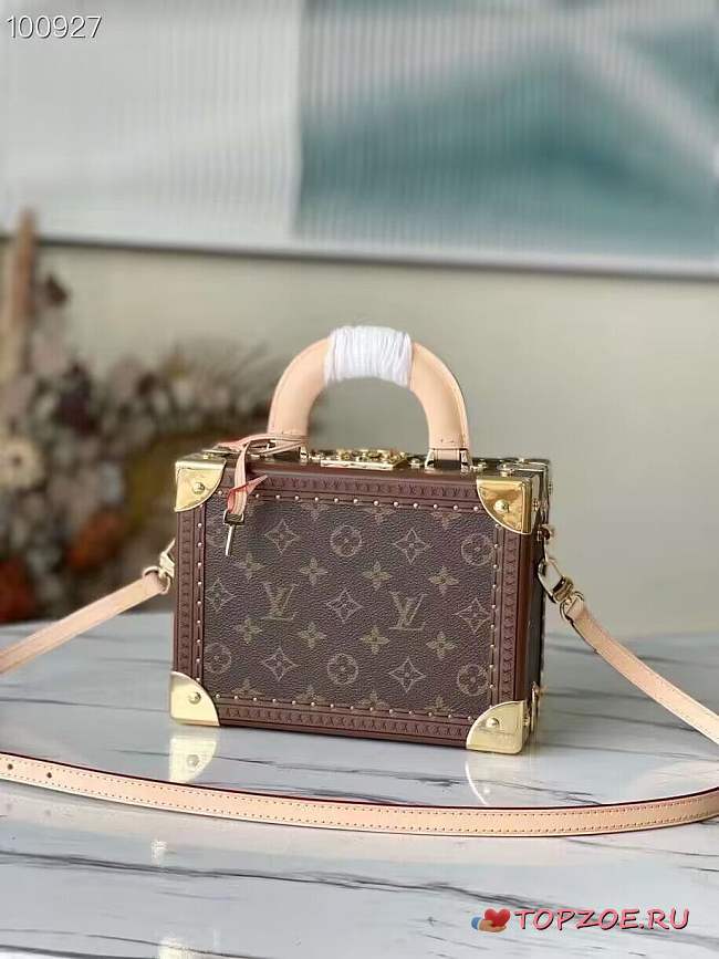 Louis Vuitton PETITE MALLE M45675 22.5x16x11cm - 1