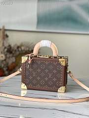 Louis Vuitton PETITE MALLE M45675 22.5x16x11cm - 1