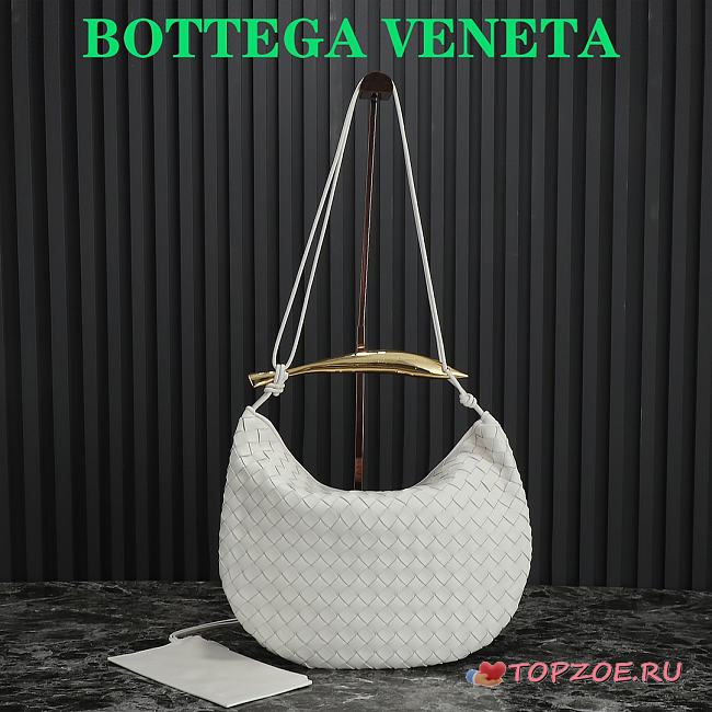bv Medium Sardine01 39×31×12CM - 1