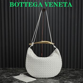 bv Medium Sardine01 39×31×12CM