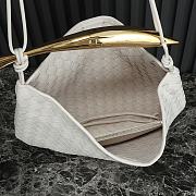 bv Medium Sardine01 39×31×12CM - 3