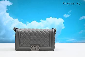 Chanel leboy 25CM