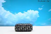 dior MINI SAFARI BAG 17 x 12.5 x 4 cm - 3