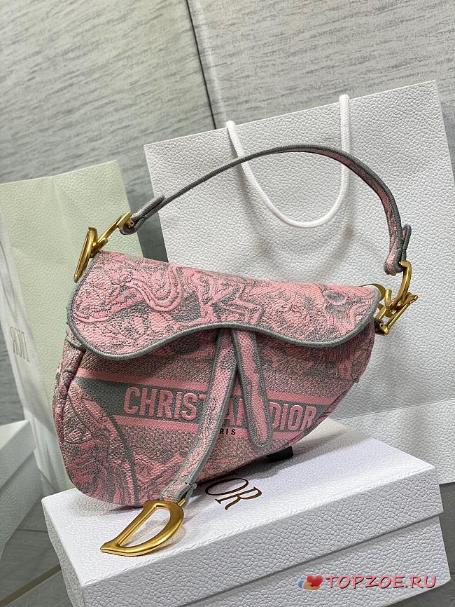 Dior Saddle bag01 25cm - 1