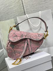 Dior Saddle bag01 25cm - 1