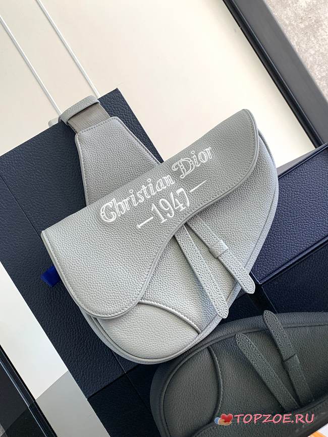 DIOR Saddle 1947 26 x 19 x 4.5CM - 1