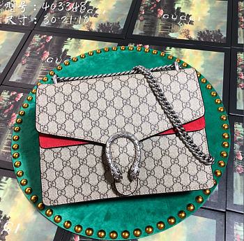 Gucci Dionysus01 30x21x10CM