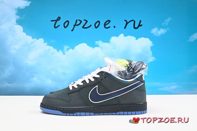 NIKE-SB-313170-342 - 1