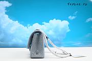 Chanel Cruise 25cm - 3