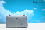 Chanel Cruise 25cm - 2