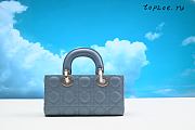 dior LADY D-JOY small  22 x 12 x 6 CM - 4