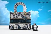 DIOR  LADY D-LITE 24 x 20 x 11 CM - 1