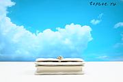 MISS DIOR  Cannage  21 x 11.5 x 4.5CM - 4