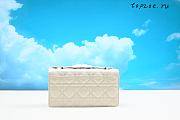 MISS DIOR  Cannage  21 x 11.5 x 4.5CM - 3